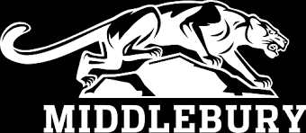 Image result for Matt Cutts sauer