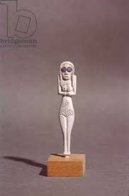 Image result for schamhaar