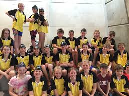 Image result for Leighton Buzzard (Beds) Netball Club