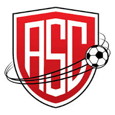 Image result for Arsenal Football Club