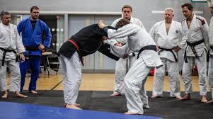 Image result for AAZENTAI JU JITSU