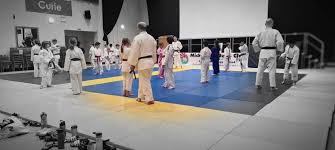Image result for Micklefield Judo Club