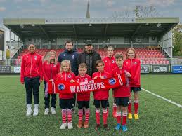 Image result for Dorking Wanderers F C