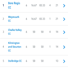 Image result for Bere Regis Cricket Club