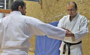 Image result for Welwyn Garden City Judo Club