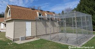 Image result for Meridian Racing Pigeon Lofts