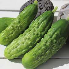 Image result for Gurke