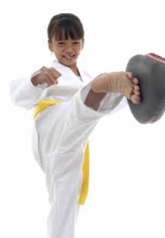 Image result for Springwood Karate