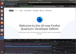 Image result for firefox 4 ubuntu