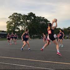 Image result for Hornets Netball Club