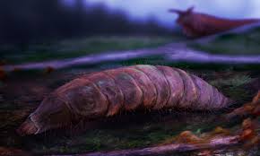 Attēlu rezultāti vaicājumam “Therevidae larva”