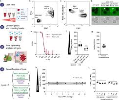Attēlu rezultāti vaicājumam “Reticularia lobata plasmodium”