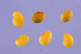 Attēlu rezultāti vaicājumam “Medicago lupulina fruit”