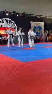 Image result for London Colney Tae Kwon Do  (I.T.F. / LTSI / A.F.T.)