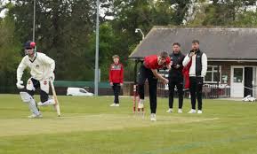 Image result for Lingfield Cricket Club