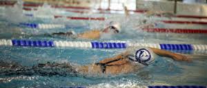 Image result for Isle Of Wight Swim Team