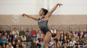 Image result for Bicester and District Gymnastics Club