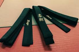 Image result for Ju Jitsu Tavistock