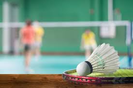 Image result for Dorset Junior Badminton Club