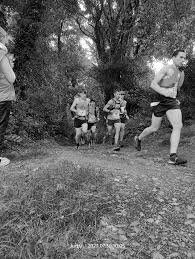 Image result for Ellan Vannin Gc