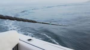 Image result for Bexleyheath and District Sea Angling Society