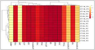 Image result for Holmans Smbc