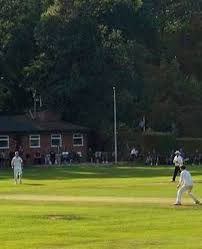 Image result for Ickwell Cricket Club