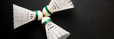 Image result for Crofton Arrows Badminton Club
