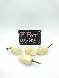 Afbeeldingsresultaat voor 7 pot hot pepper