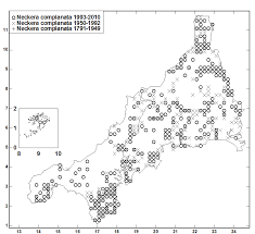 Attēlu rezultāti vaicājumam “Neckera complanata sporophyte”