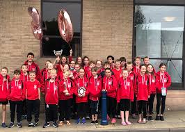 Image result for Morpeth Amateur Swimming Club