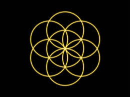 Image result for life flower