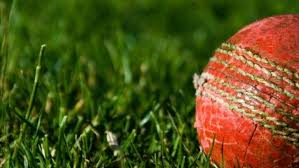 Image result for Shottermill Cricket Club