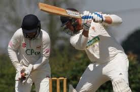 Image result for Elworth Cricket Club