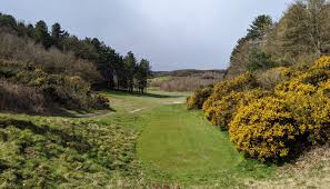 Image result for Oakmere Cricket Club