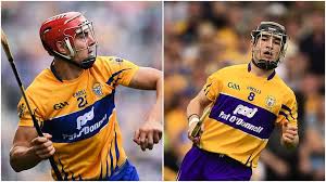 Image result for Clarehurlers