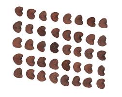 Attēlu rezultāti vaicājumam “Silene wolgensis”