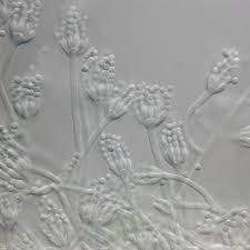 Attēlu rezultāti vaicājumam “Penicillium vulpinum”