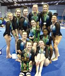 Image result for Hull High Flyers Gymnastics Club