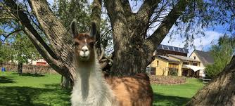 Image result for passivhaus schkortitz