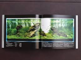 Znalezione obrazy dla zapytania takashi amano%