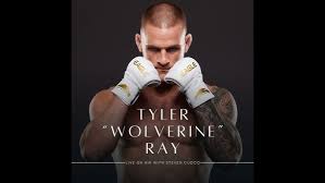 Image result for Wolverine MMA