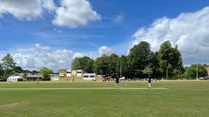 Image result for Hartley Wintney Cc