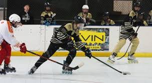 Image result for Godalming In-Line Hockey Club