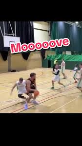 Image result for Aylesbury Dux Basketball Club
