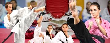 Image result for New Milton Taekwondo Club