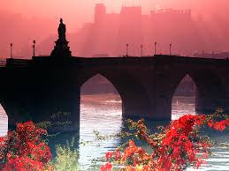 images?q=tbn:ANd9GcRGnTpeAsODyZbub57gdFwTi4Ap9HmtctRZ-LYCEm8gUnpVrn1d