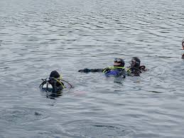 Image result for Surrey Aquanauts B S A C 0689