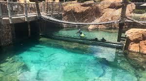 Image result for Discover Swimming