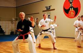 Image result for Martial Arts Karate Mesa AZ